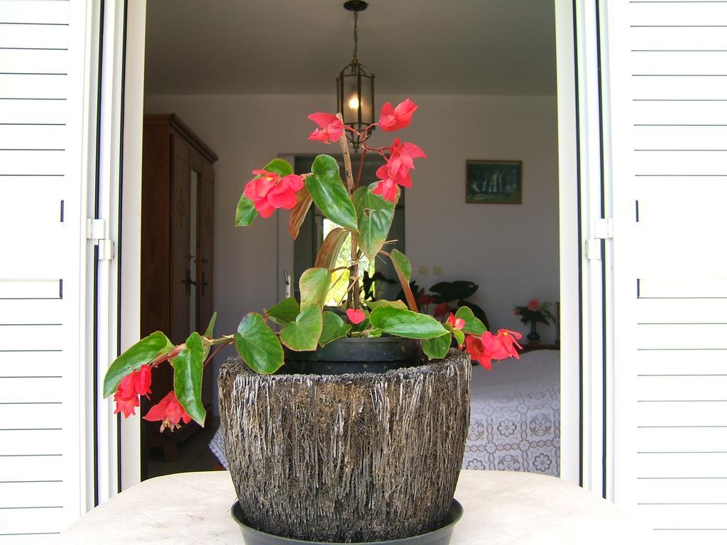 Holiday Home La Caverne Des Hirondelles Saint-Joseph Exterior foto